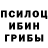 Псилоцибиновые грибы Magic Shrooms Mr Ketti