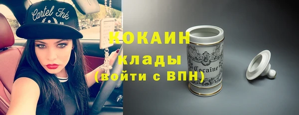 твердый Алексин