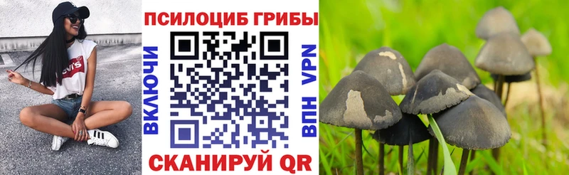 Галлюциногенные грибы Magic Shrooms  Мыски 