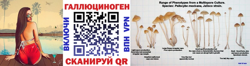 Галлюциногенные грибы MAGIC MUSHROOMS Мыски
