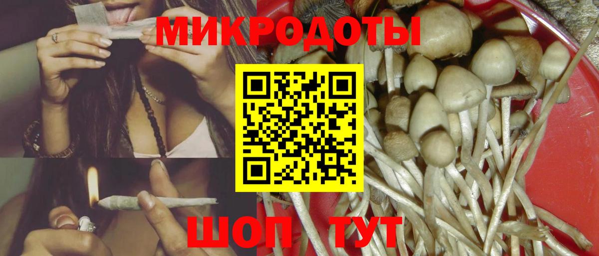 Мыски  Галлюциногенные грибы GOLDEN TEACHER  Вход с VPN 
